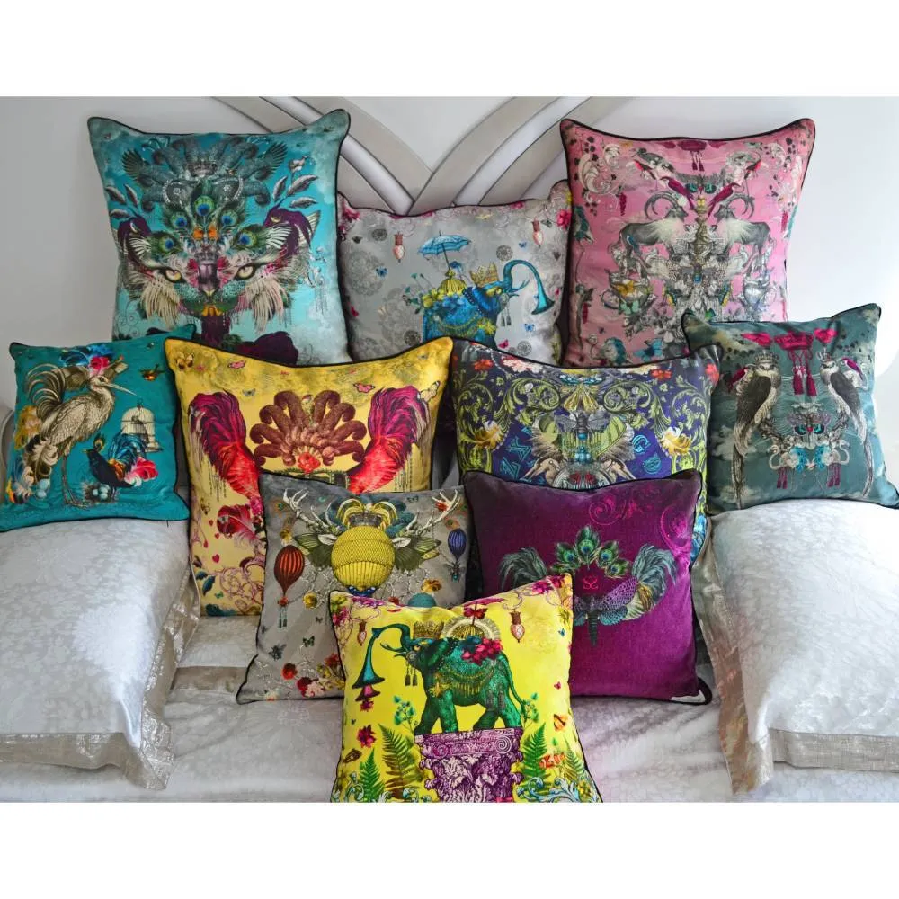 Arrivée Des Oiseaux Velvet Scatter Cushion - Santorus