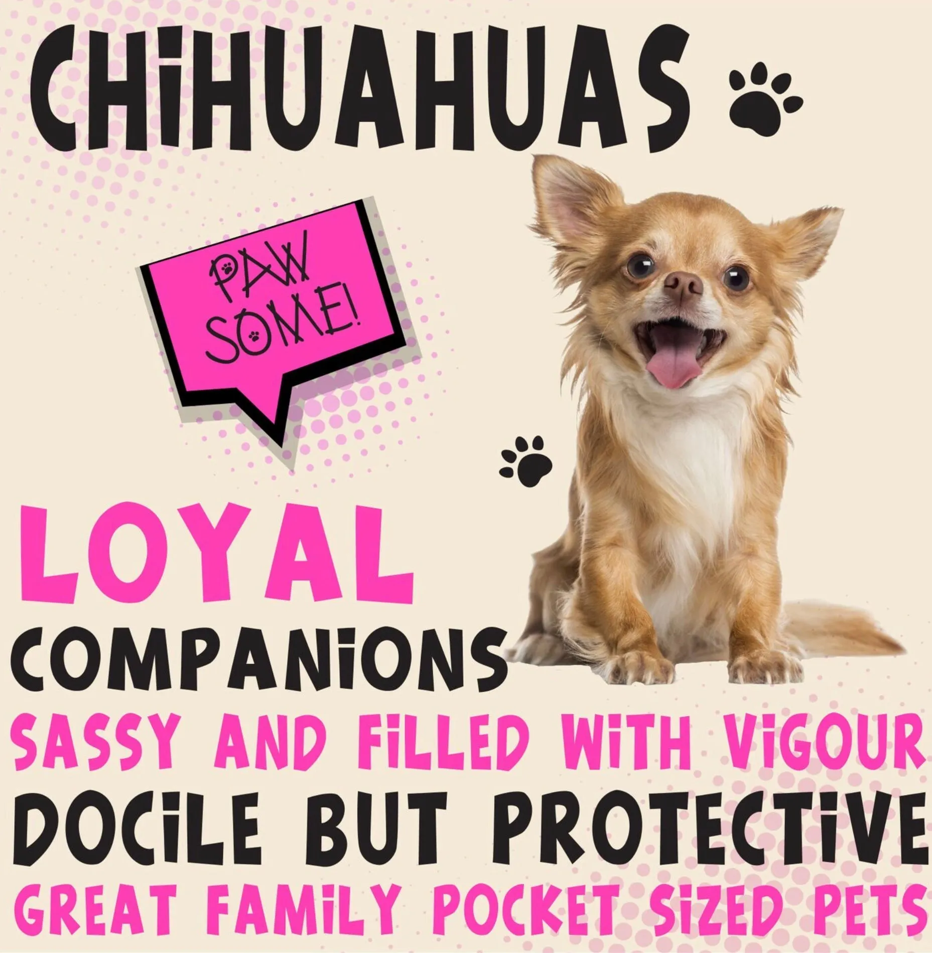 Chihuahuas Metal Wall Sign