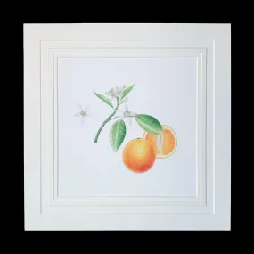 Limited Edition Print "Orange"